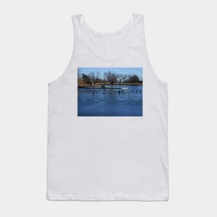Canadian Geese  Resting on Blue Ice Tank Top